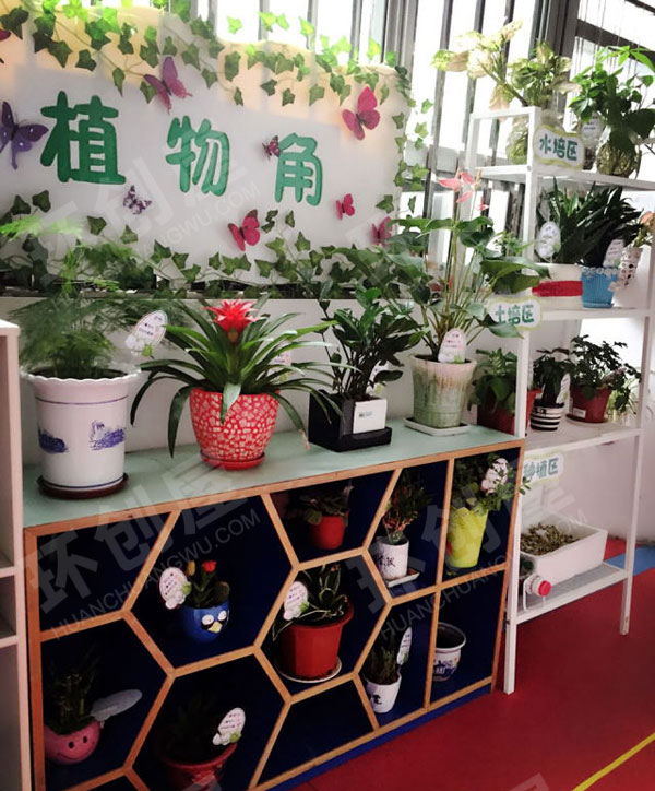 幼儿园走廊门植物角废物利用图片