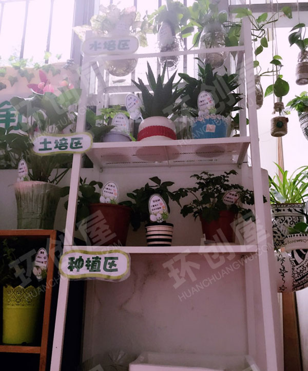 幼儿园走廊门植物角废物利用图片