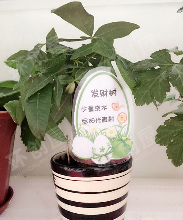 幼儿园走廊门植物角废物利用图片