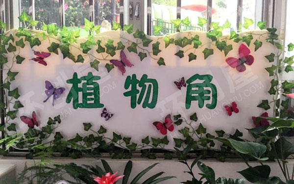 幼儿园走廊门植物角废物利用图片