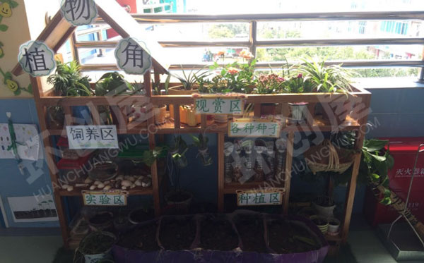幼儿园户外春日自然角植物培植区图片