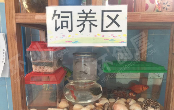 幼儿园户外春日自然角植物培植区图片