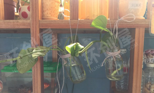 幼儿园户外春日自然角植物培植区图片