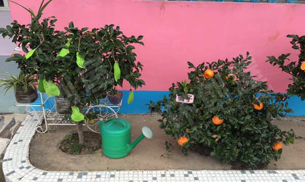 幼儿园户外秋天主题不织布自然角图片