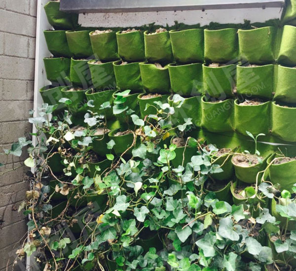 幼儿园户外不织布植物袋图片