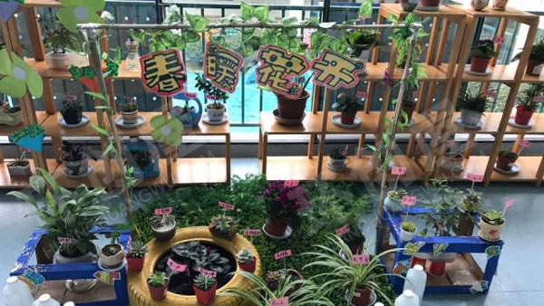 幼儿园户外春暖花开植物角图片