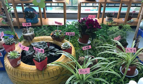幼儿园户外春暖花开植物角图片