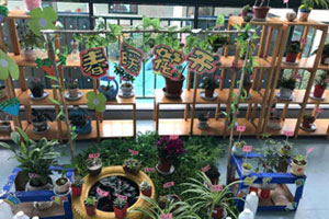 幼儿园户外春暖花开植物角图片3张