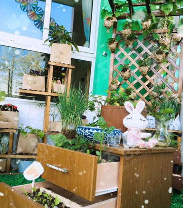 幼儿园绿野仙踪户外植物角图片