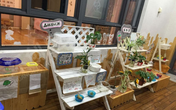 幼儿园户外一角植物角环创图片