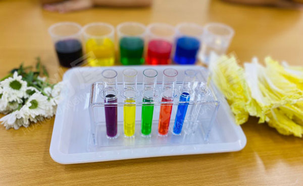 幼儿园科学区白菜鲜花变装实验图片