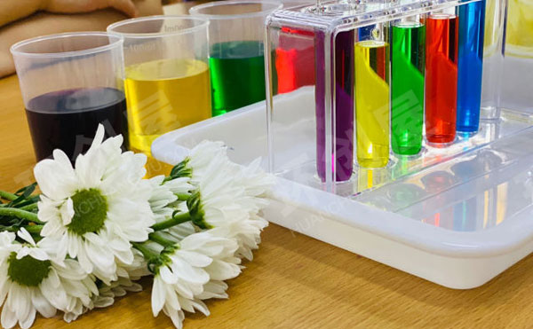 幼儿园科学区白菜鲜花变装实验图片