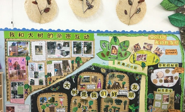 幼儿园大树的成长主题墙图片