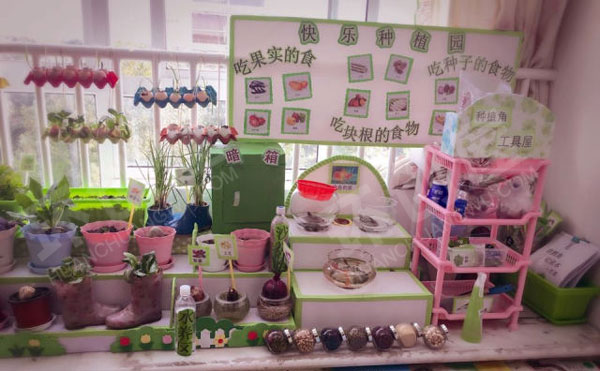 幼儿园走廊植物角快乐的种植园图片