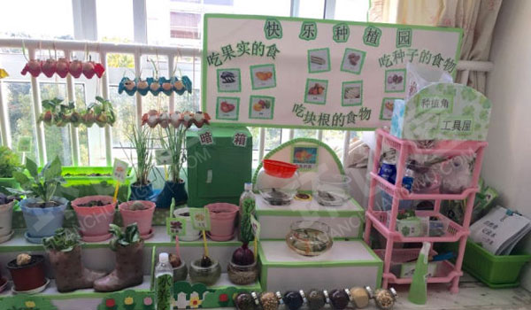 幼儿园走廊植物角快乐的种植园图片