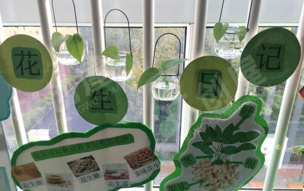 幼儿园走廊植物角快乐的种植园图片