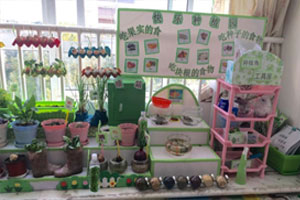 幼儿园走廊植物角快乐的种植园图片9张