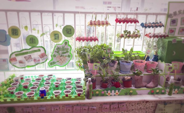 幼儿园走廊植物角快乐的种植园图片