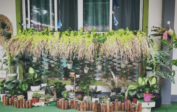 幼儿园走廊植物角芽庄之旅图片