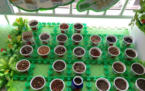 幼儿园走廊植物角快乐的种植园图片