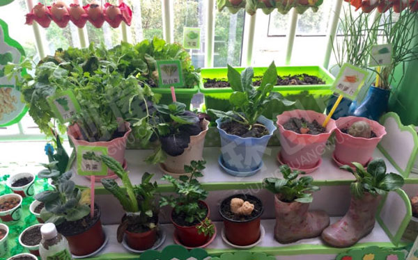幼儿园走廊植物角快乐的种植园图片