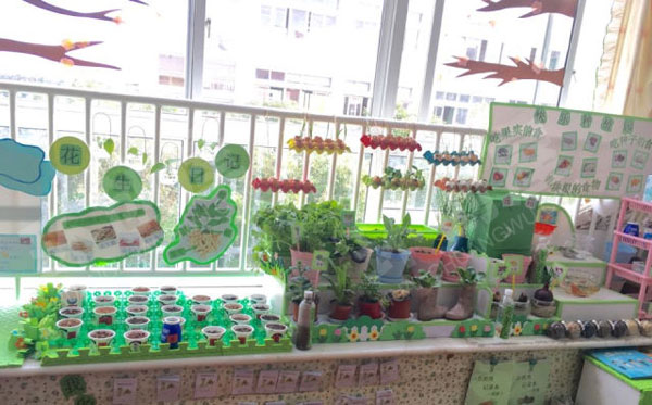 幼儿园走廊植物角快乐的种植园图片