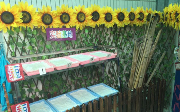 幼儿园户外生活体验馆图片