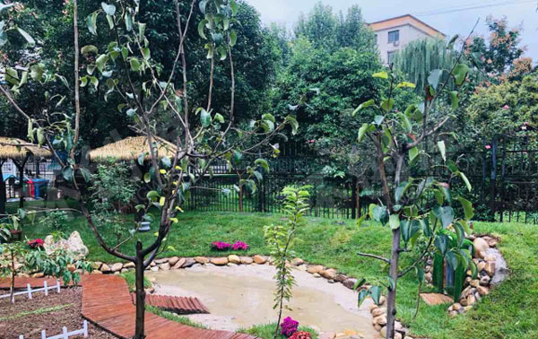 幼儿园户外超大型植物角图片