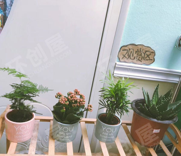 幼儿园户外走廊植物角图片