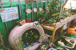 幼儿园户外走廊植物角图片5张