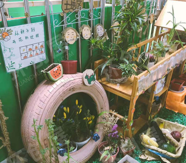 幼儿园户外走廊植物角图片