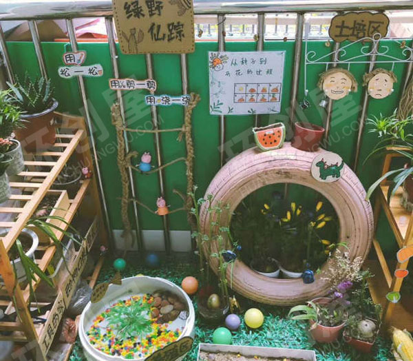幼儿园户外走廊植物角图片