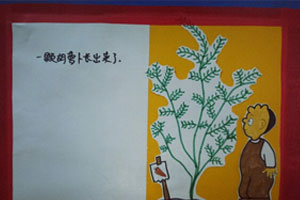 幼儿园阅读区手工绘本胡萝卜种子图片12张