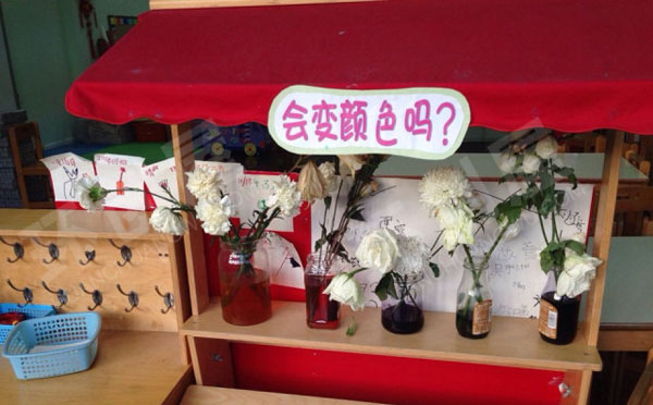 幼儿园科学区会变颜色吗图片