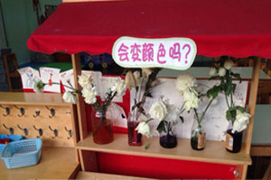 幼儿园科学区会变颜色吗图片