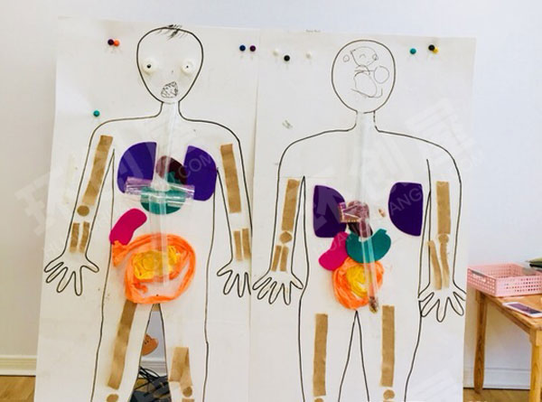 幼儿园科学区探索身体里的奥秘图片