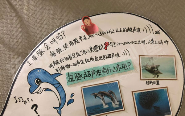 幼儿园海里动物海豚主题墙图片