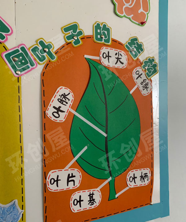 幼儿园可爱的小叶子主题墙图片