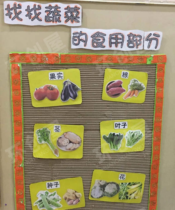 幼儿园蔬菜一族主题墙图片