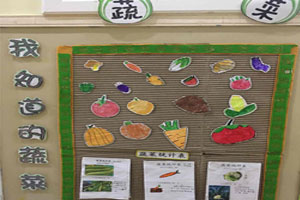 幼儿园蔬菜一族主题墙图片4张