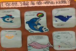 幼儿园海里动物海豚主题墙图片6张