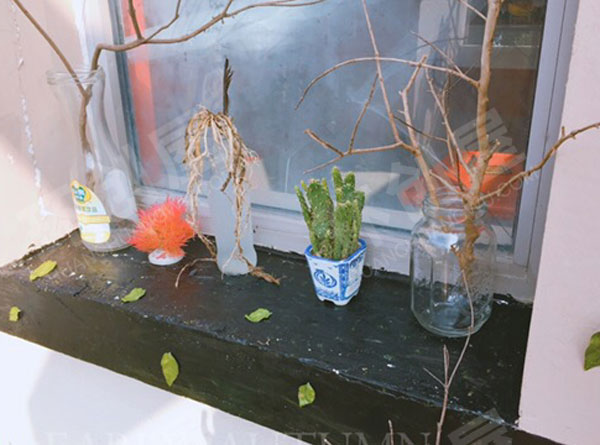 幼儿园户外植物角废物利用装饰图片