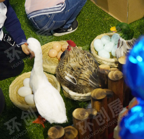 幼儿园科学区开心农场图片