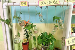 幼儿园走廊植物角美化图片3张