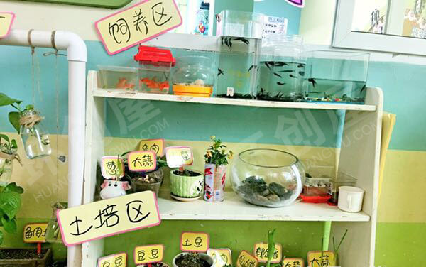 幼儿园走廊植物角美化图片