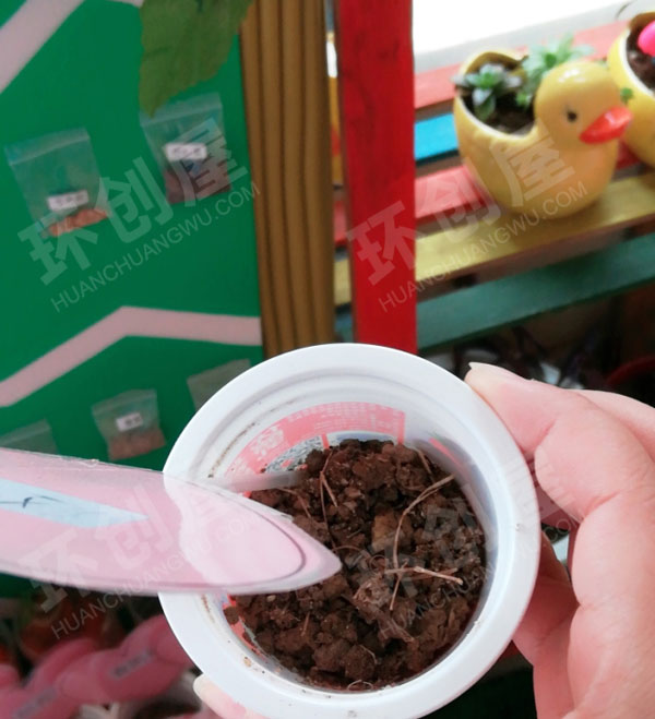 幼儿园户外废物利用纸杯种植区图片