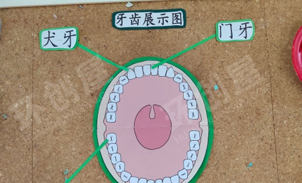 幼儿园爱牙日主题墙图片