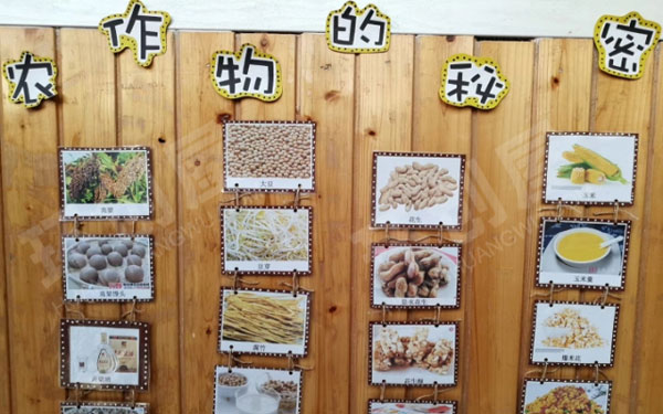 幼儿园拥抱秋天主题墙图片