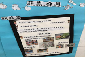 幼儿园环创蔬菜主题墙图片6张