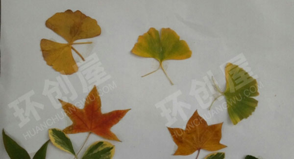 幼儿园废物利用树叶贴画卡通作品展示图片